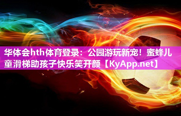 华体会hth体育登录：公园游玩新宠！蜜蜂儿童滑梯助孩子快乐笑开颜